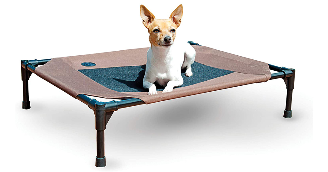 Best Camping Chairs For Your Dog