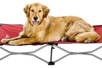 Carlson Pet Products Red Portable Pup Pet Bed Review