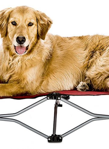 Carlson Pet Products Red Portable Pup Pet Bed Review